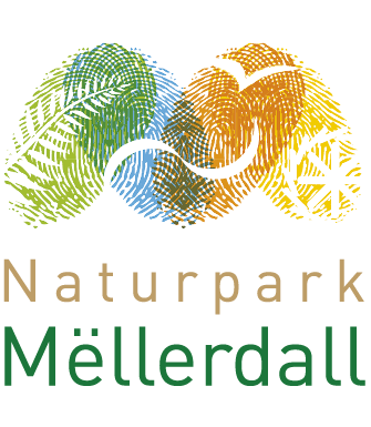 Nature Parc of the Mëllerdall